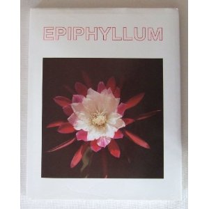 Epiphyllum.jpg