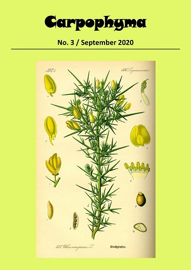 Carpophyma 3 - September 2020 - cover - small - 2.jpg