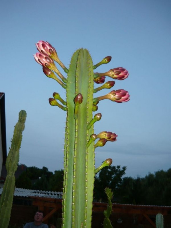 Kép 051.jpg