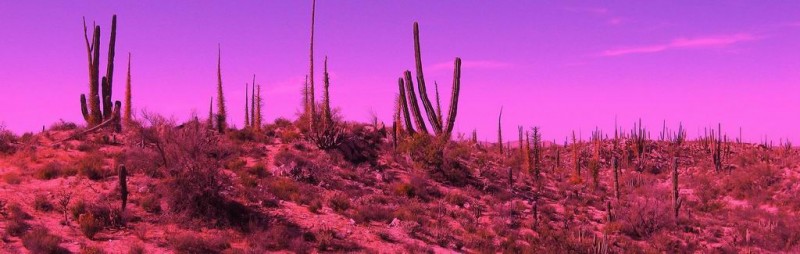 Mexico 6 785m.jpg