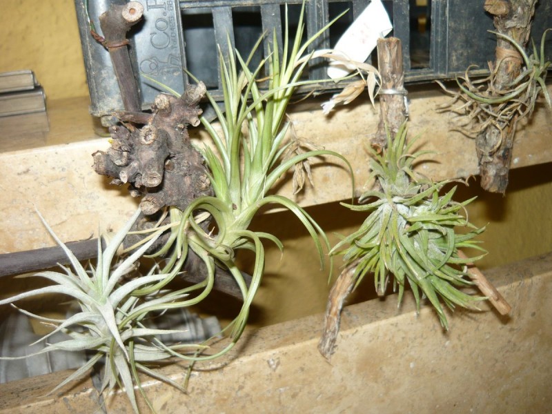 Kép 121.jpg