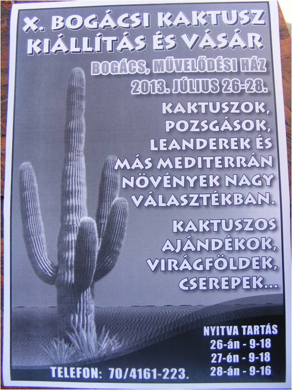 Bogács.jpg