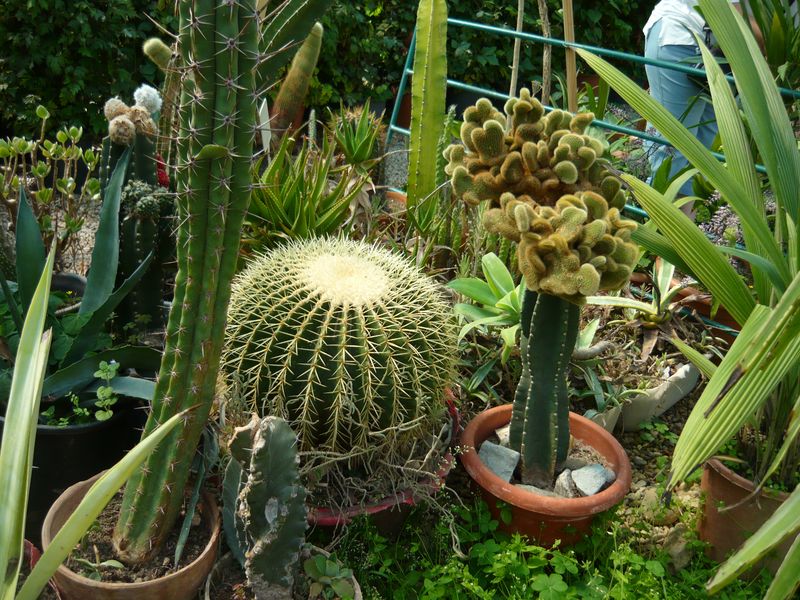 Kép 086.jpg
