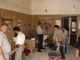 Expo cactuşi Oradea, 2008
