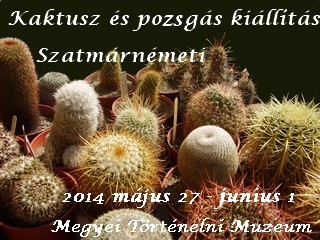 Kép