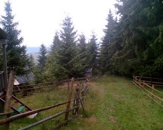 Bãiºoara