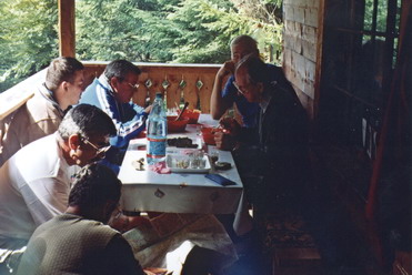 Discuþii