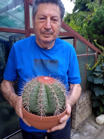 savu mircea