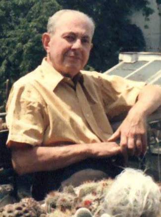 visinescu gheorghe