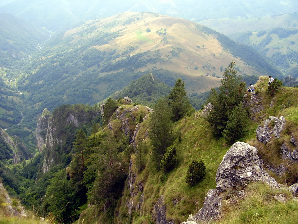Clic pentru a vizualiza imaginea în dimensiunile reale