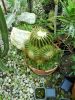 DSC01323_resize.jpg