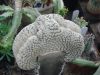 DSC03740_resize.JPG