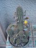 DSC03758_resize.JPG