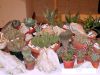 DSC04974_4.jpg