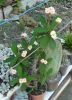 P1000606_resize.jpg