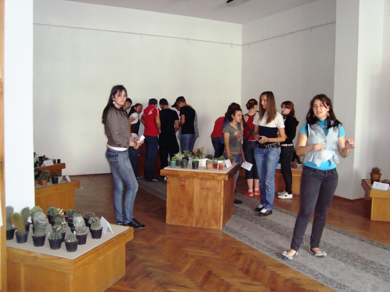Clic pentru a vizualiza imaginea în dimensiunile reale